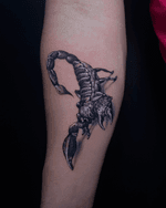Scorpion