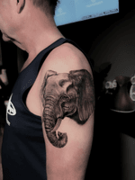 Elephant Tattoo