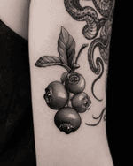 Blueberries