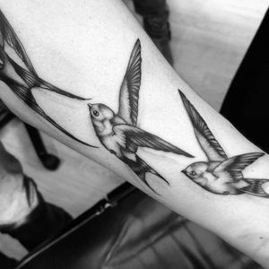 Bird tattoo by Dave #MasqueradeTattoo #tattoosbydave #neotraditional #bird #birds 