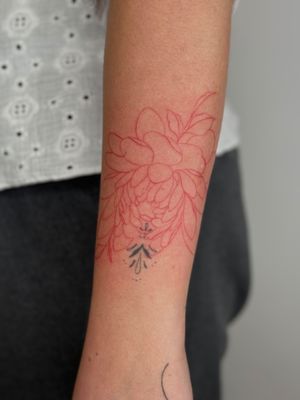 red ink linear peony 💖