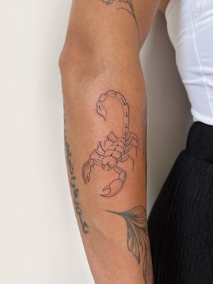 Get inked with a stunning illustrative scorpion design by the talented artist Alessia Lo Piccolo. Showcase your strength and determination with this bold piece!