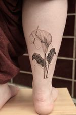 A delicate fine line micro realism tattoo of a calla lily with soft abstract extensions. This elegant black and grey surrealist composition evokes purity and quiet melancholy.