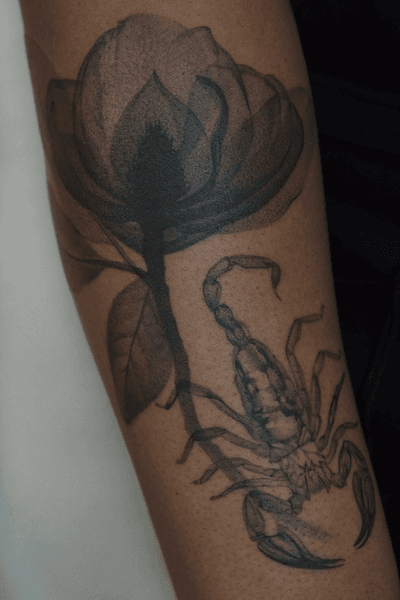 Magnolia flower and scorpion in X-ray tattoo style. This project was created as a custom design. More available designs can be found on my Instagram account #microrealism