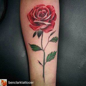 Beautiful rose on arm done by benclarktattooer , 
#inkjecta #starbritecolors #rosetattoo #rose #uktta #underground_tattooers #tattoo #london #camden #londontattoo #helltopaytattoos #camdentattoo #flowertattoo #flower #hustlebutterdeluxe #deathlesscords