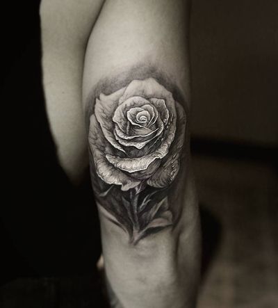 #stefanoalcantara #rosetattoo #rose #honorwomen 