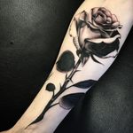 Black and grey rose by Woz