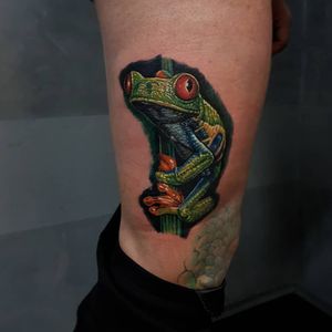 #realism #frog #colours