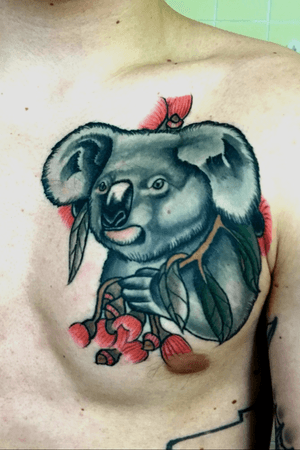 Koala , done in Austraila 