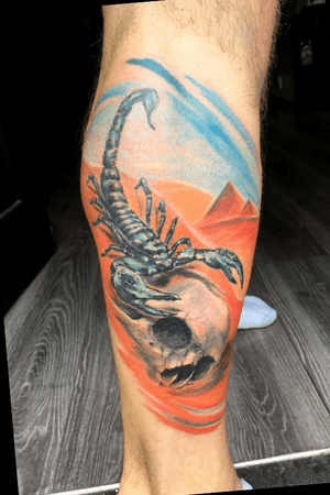 #tattoo #newtattoo #scorpion #color 