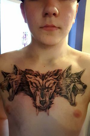 (Part 2) Centre wolf of my 1st ever tattoo complete(Chest Piece) #cerberus #wolf #wolftattoo #wolfhead #blackink #firstattoo 