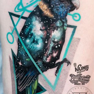 Tattoo by Chris Rigoni #ChrisRigoni #realism #realistic #hyperrealism #black gray #color #abstract #shapes #mashup #bird # parrot #solar system #stars #galaxy #feather #wings #dotwork #saturn