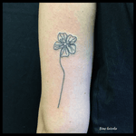 Dessin original de @rupikaur_ de son livre MILK AND HONEY❤️🙏 #bims #bimskaizoku #bimstattoo #rupikaur #rupikaurpoetry #rupikaurmilkandhoney #milkandhoney #paris #paname #paristattoo #drawing #drawing #livre #book #booklover #poetry #poesie #tatt #tatted #tattoo #tattrx #tattoos #tattooed #tattooer #tattoogirl #tattooist #tattoostyle #tattoist #love 