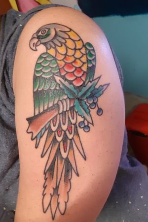 #tattoo #birdtattoo #bird #traditionaltattoo #traditional #parrot #parrottattoo 