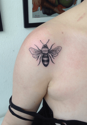 Fineline bee