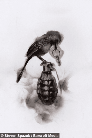 Bird Grenade