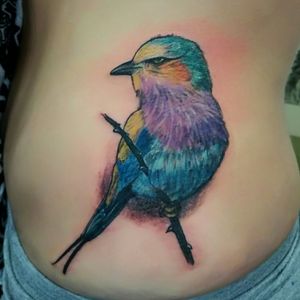 Illustrative bird tattoo by artist Sean Ross Fawkes, beautifully blending watercolor elements on rib placement.