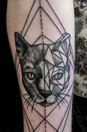 Cover tattoo with cat.