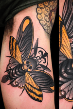Creepy moth done during my guestspot at Skinwear tattoo shop last week!!