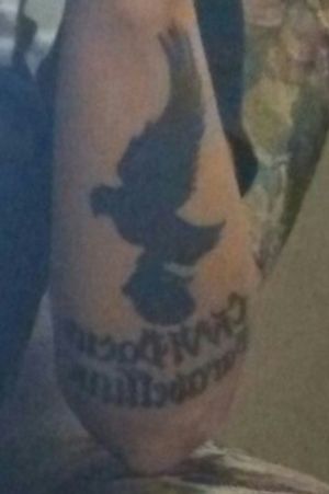 Right side front forearm. Dove holding a grenade. Reads "Civ VI Pacus Parabellum" roughly translates to 'to have Peace, then prepare for war'
