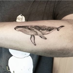 A whale for Basti