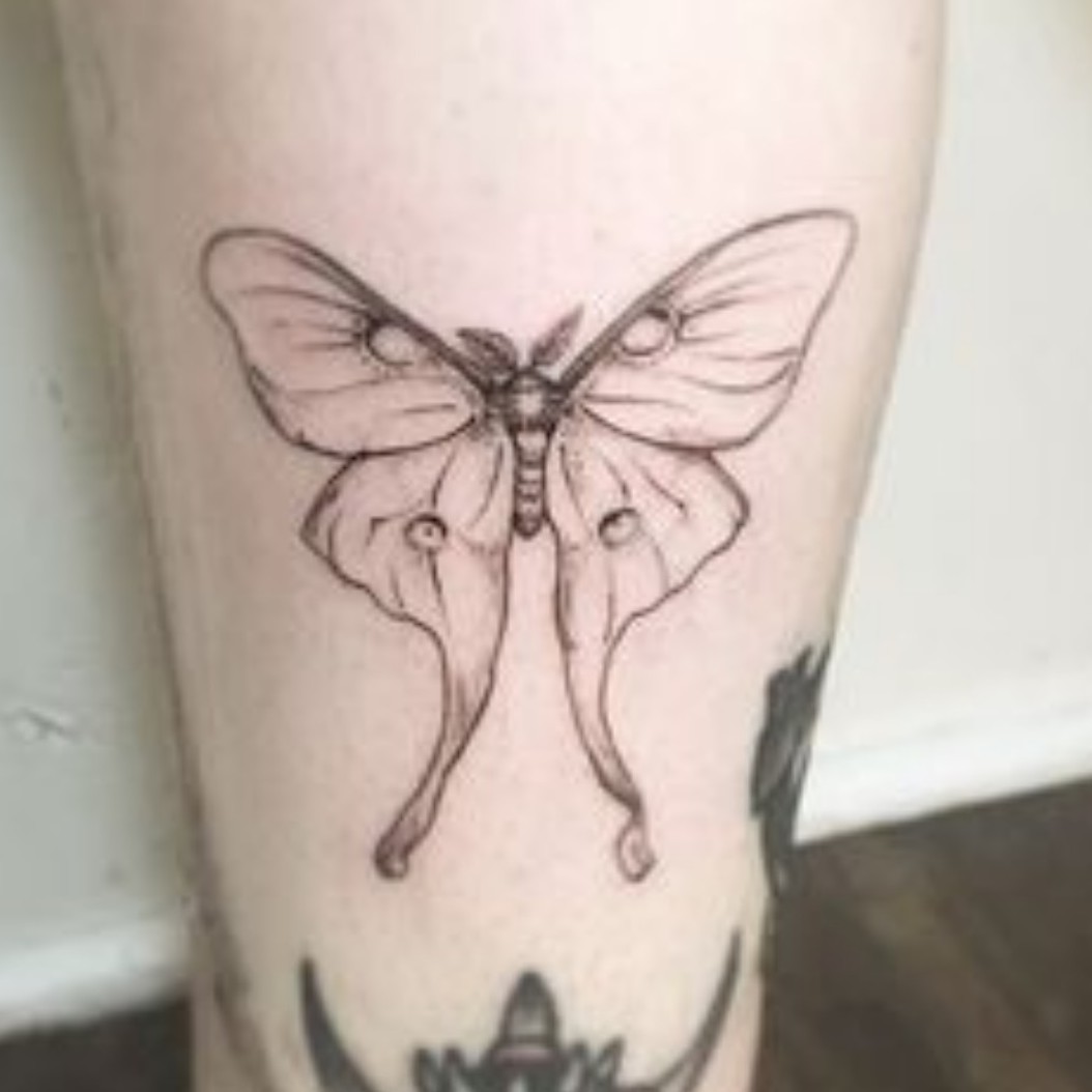 Tattoo Uploaded By Buttons Bw Luna Moth Tattoodo Tattoo Uploaded By Buttons Bw Luna Moth Tattoodo