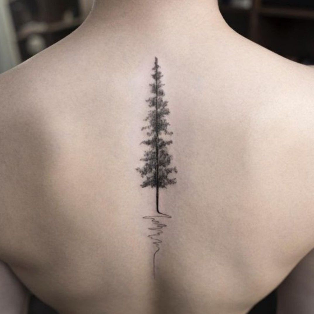 The fir tree tattoo meaning drawing features photo examples facts  sketches