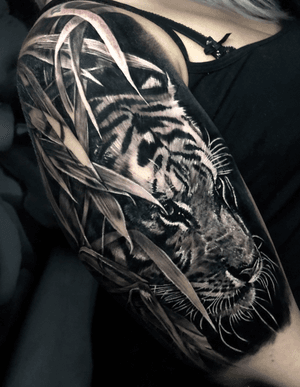 Did this little cat today 🐯 #tiger #tattoo #tattoos #tattooartist #BishopRotary #BishopBrigade #BlackandGreytattoo #QuantumInk #ImmortalAlliance #SullenClothing #SullenArtCollective #Sullen #SullenFamily #TogetherWeRise #ArronRaw #RawTattoo #TattooLand #InkedMag #Inksav#BlackandGraytattoo #tattoodoapp #tattoodo @tattoodo 