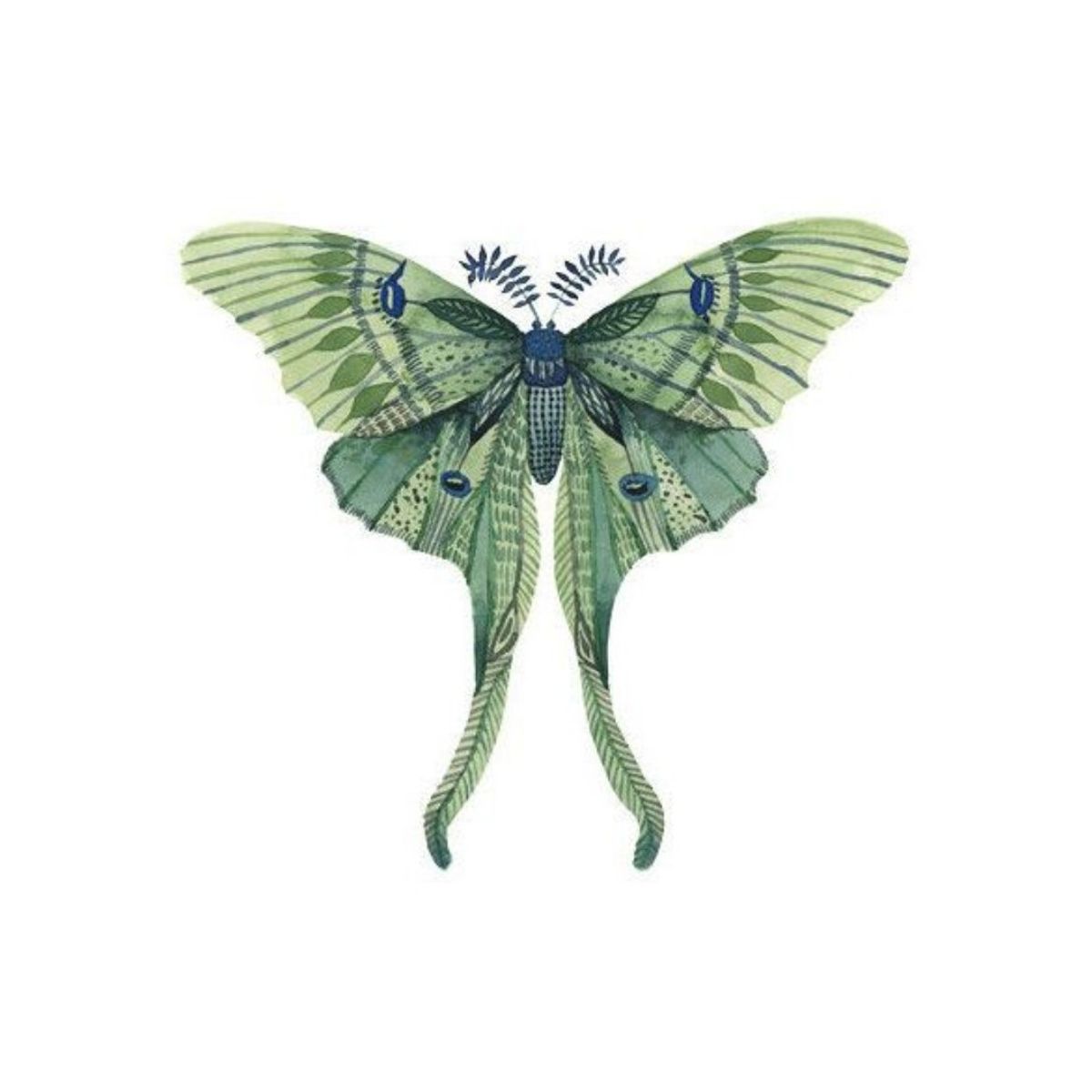 Tattoo Uploaded By Buttons Patchwork Luna Moth Tattoodo