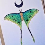 Luna Moth at Twilight