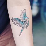 Baby bluebird. Tattoo by Laura Martinez aka nothingwildtattoo #LauraMartinez #nothingwildtattoo #FleurNoire #Brooklyntattoo #illustrative #linework #abstract #shapes #bird #feathers #wings #nature #animal