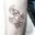Ginkgo Tat Insp