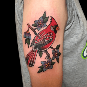 Tattoo by artist Neal Aultman. See more of Neal's work here: http://www.larktattoo.com/long-island-team-homepage/neal-aultman/ . . . . . #color #colortattoo #bird #birdtattoo #traditional #traditionaltattoo #cardinal #cardinaltattoo #cardinalbird #traditionalcardinal #traditionalcardinaltattoo #tattoo #tattoos #tat #tats #tatts #tatted #tattedup #tattoist #tattooed #inked #inkedup #ink #tattoooftheday #amazingink #bodyart #tattooig #tattoosofinstagram #instatats #larktattoo #larktattoos #larktattoowestbury #westbury #longisland #NY #NewYork #usa #art #neal #aultman #nealaultman