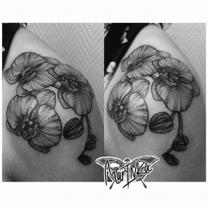 #orchid #orchids #orchidtattoo #floral #dotwork #dotworktattoo #lines 