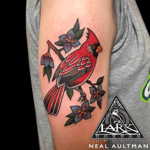 Tattoo by Lark Tattoo artist Neal Aultman. See more of Neal's work here: http://www.larktattoo.com/long-island-team-homepage/neal-aultman/ . . . . . #color #colortattoo #bird #birdtattoo #traditional #traditionaltattoo #cardinal #cardinaltattoo #cardinalbird #traditionalcardinal #traditionalcardinaltattoo #tattoo #tattoos #tat #tats #tatts #tatted #tattedup #tattoist #tattooed #inked #inkedup #ink #tattoooftheday #amazingink #bodyart #tattooig #tattoosofinstagram #instatats #larktattoo #larktattoos #larktattoowestbury #westbury #longisland #NY #NewYork #usa #art #neal #aultman #nealaultman