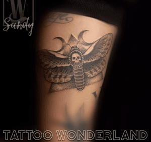 #deathheadmothtattoo Clarice. @sandydex_tattoos @tattoowonderland #youbelongattattoowonderland #tattoowonderland #brooklyn #brooklyntattooshop #bensonhurst #midwood #gravesend #newyork #newyorkcity #nyc #tattooshop #tattoostudio #tattooparlor #tattooparlour #customtattoo #brooklyntattooartist #tattoo #tattoos #deathheadmoth #moth #mothtattoo