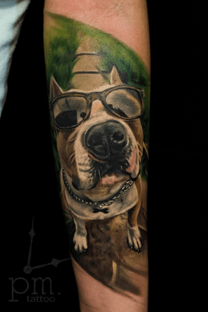 Love dogs ?🐕 #tattoodog #armtattoo #glasses #ink #inked #ta2 #tats #dogtattoo #sweetytattoo #cutetattoo #realistic #realism #tattoorealistic #colortattoo #mikeandpolly