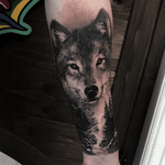 Wolf Forest Tattoo.  #wolf #forest #oslo #norway 