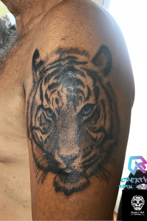 Tiger tigre 