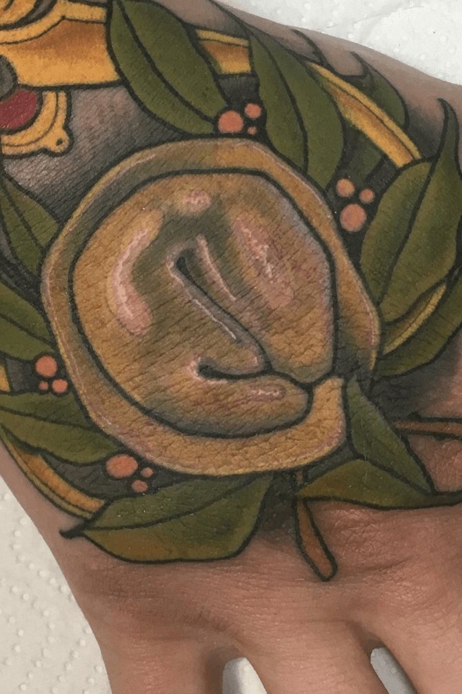 John Irvings Rose of Jericho tattoo in Until I Find You