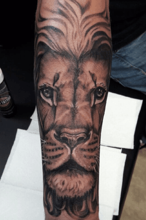 Black and grey lion coverup