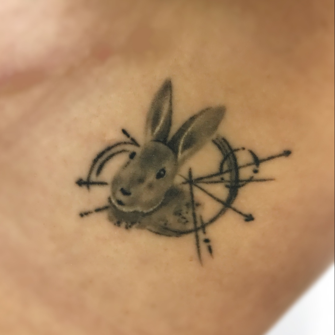 140 Rabbit Tattoos Designs and Ideas for Men and Women 