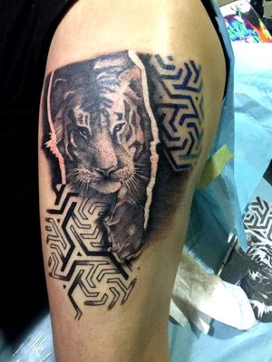 🐯 Tigre 🐅 Tatuaje realizado en 5hrs Lugar : pierna Cartuchos : 15 rm - 7rl 