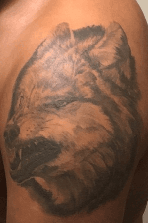 Wolf by jimmy over at mission tattoo in santa barbra ca @jimmybellart on instagram #wolftattoo #wolf #realistic 