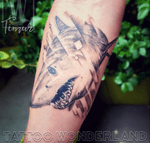 #greatwhiteshark @_zakiev @tattoowonderland #youbelongattattoowonderland #tattoowonderland #brooklyn #brooklyntattooshop #bensonhurst #midwood #gravesend #newyork #newyorkcity #nyc #tattooshop #tattoostudio #tattooparlor #tattooparlour #customtattoo #brooklyntattooartist #tattoo #tattoos #shark #sharktattoo #jaws #bloodinthewater 