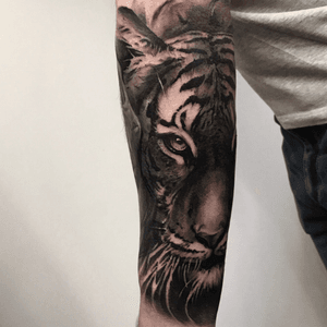 Tiger Tattoo #tiger #tigertattoo #oslo #norway 
