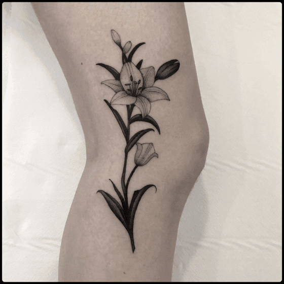 white lily drawing tattoo