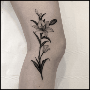 #totemica #tunguska #black #white #lily #lilium #flower #tattoo #kissmedarlintattoo #roma #trastevere #italy #blacktattooart #tattoolifemagazine #tattoodo #blackworkers #blackwork 