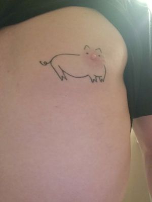 Pig nipple