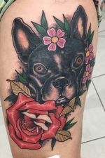 •Dog and Roses• #tattoo #tat2 #traditional #trad #tradicional #brasil #brazil #br #sp #saopaulo #itupeva #jundiai #indaiatuba #classictattoos #oldschool #neotraditional #neotrad 